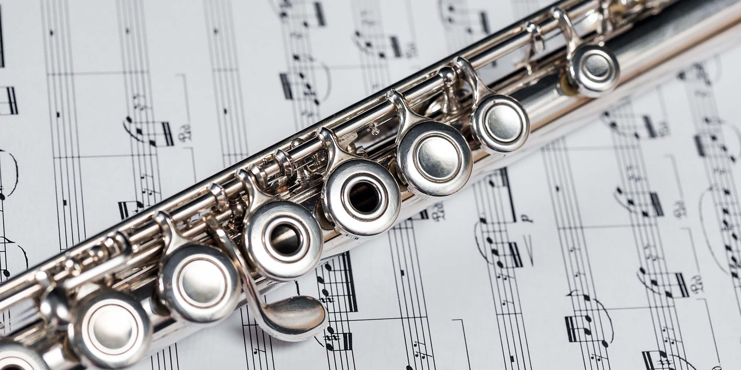 Flute Lessons Online - Hector Diaz