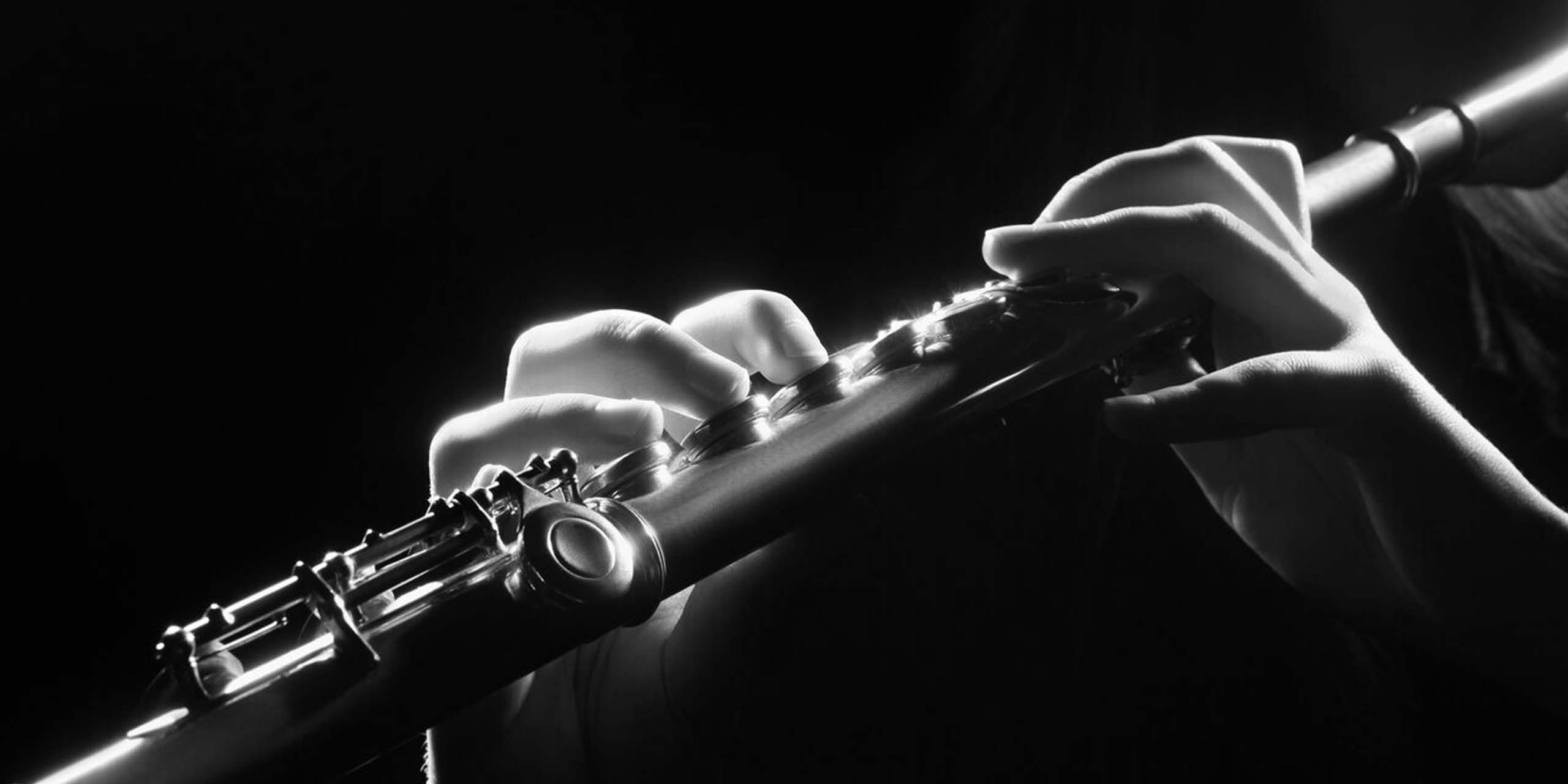 Flute Lessons Online - Hector Diaz