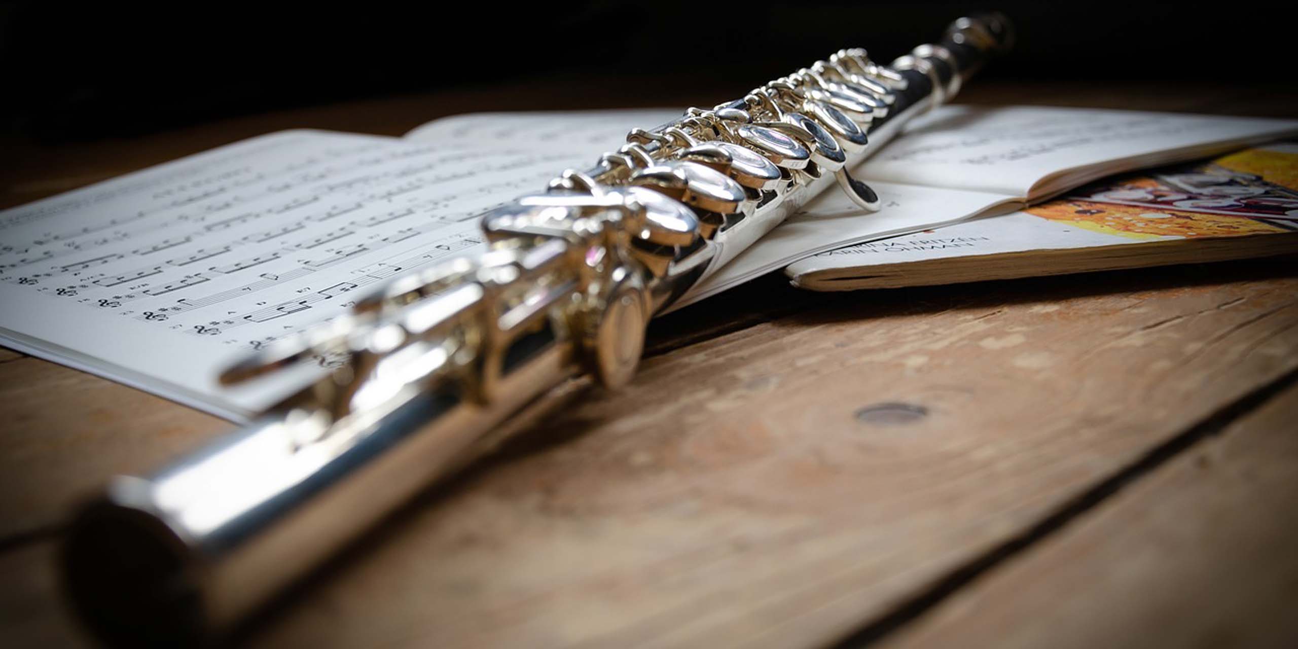 Flute Lessons Online - Maestro Hector Diaz