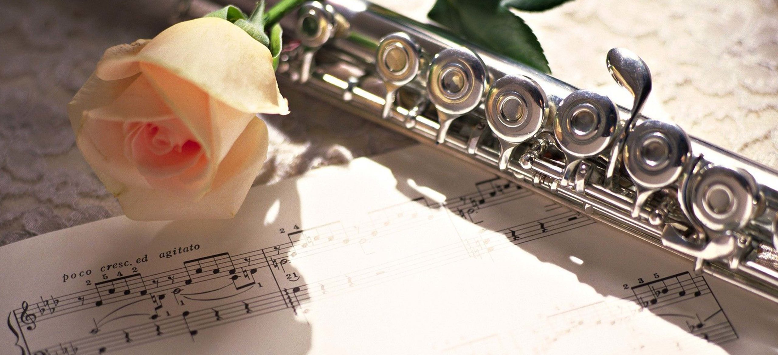 Flute Lessons Online - Hector Diaz