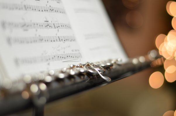 Flute Lessons Online - Hector Diaz