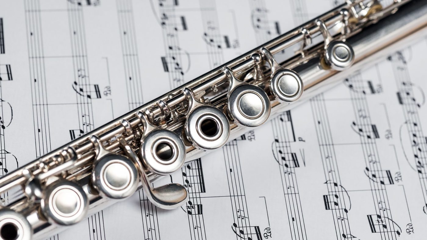 Flute Lessons Online - Maestro Hector Diaz
