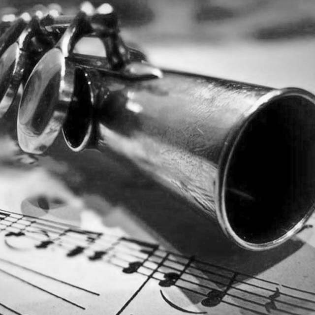 Flute Lessons Online - Maestro Hector Diaz