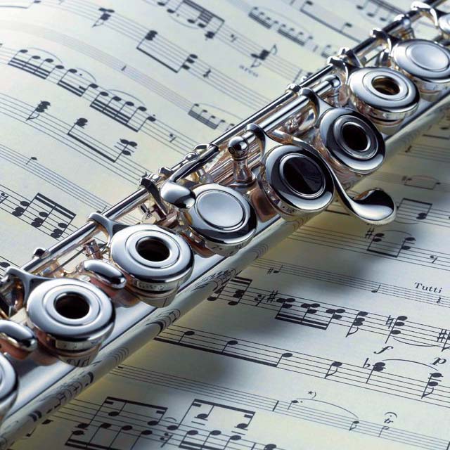 Flute Lessons Online - Maestro Hector Diaz